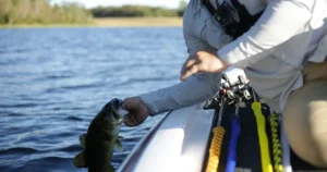 Bass Fishing Techniques