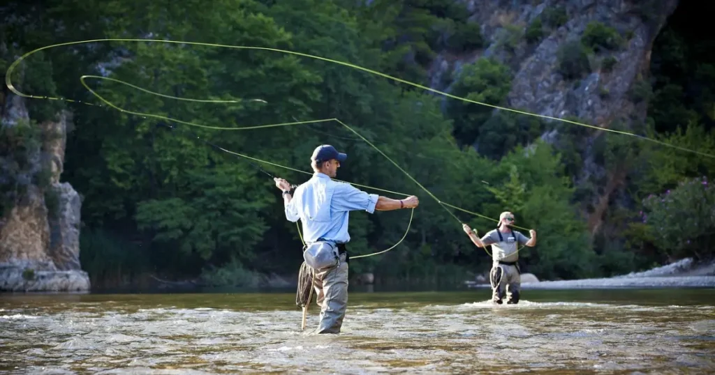 trout fish